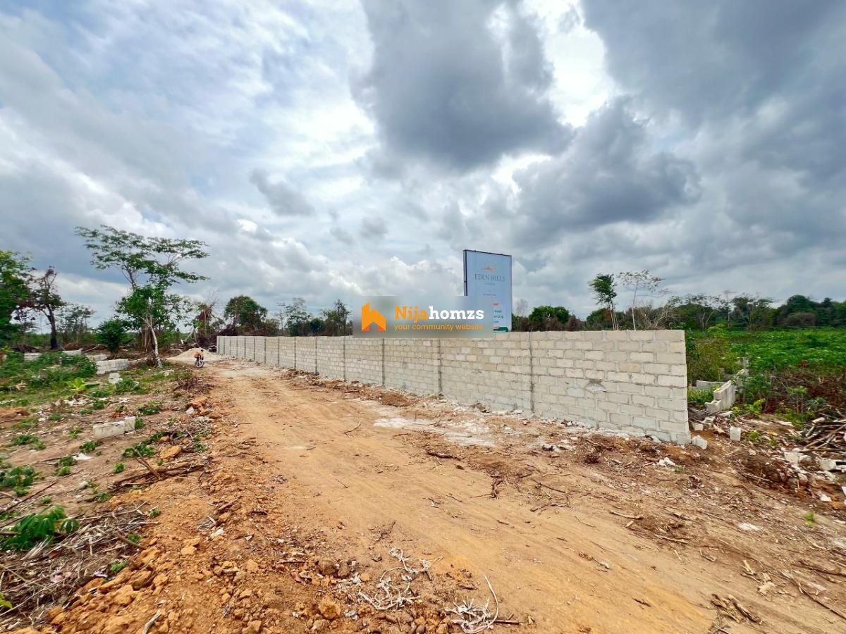 Property view 1