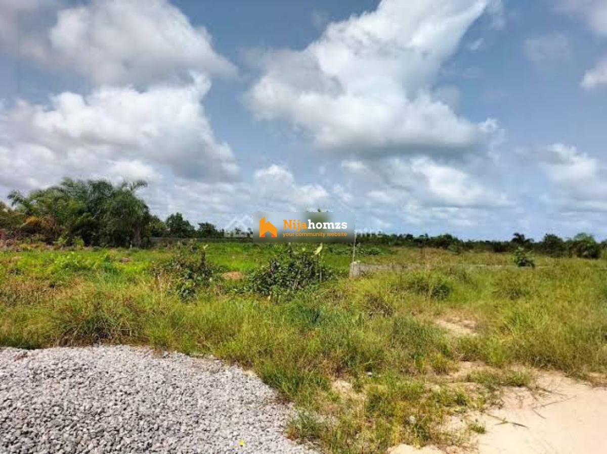 Property view 1