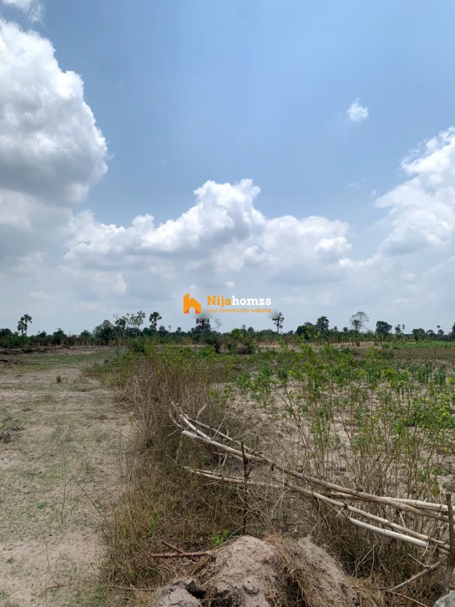 Property view 1