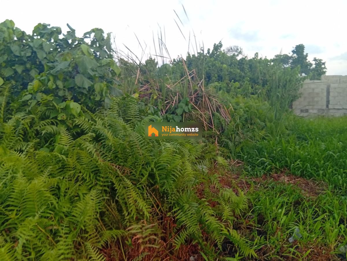 Property view 1
