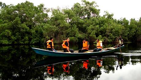 Omo Forest Reserve | Ogun State Tourist Attractions